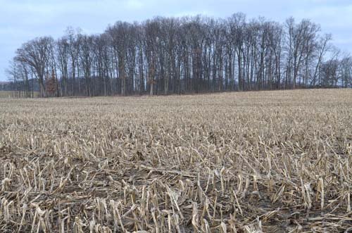 Property photo 70 - 98+/- Acres Offered in 6 Tracts or Combinations, Noble County, Indiana Farm
